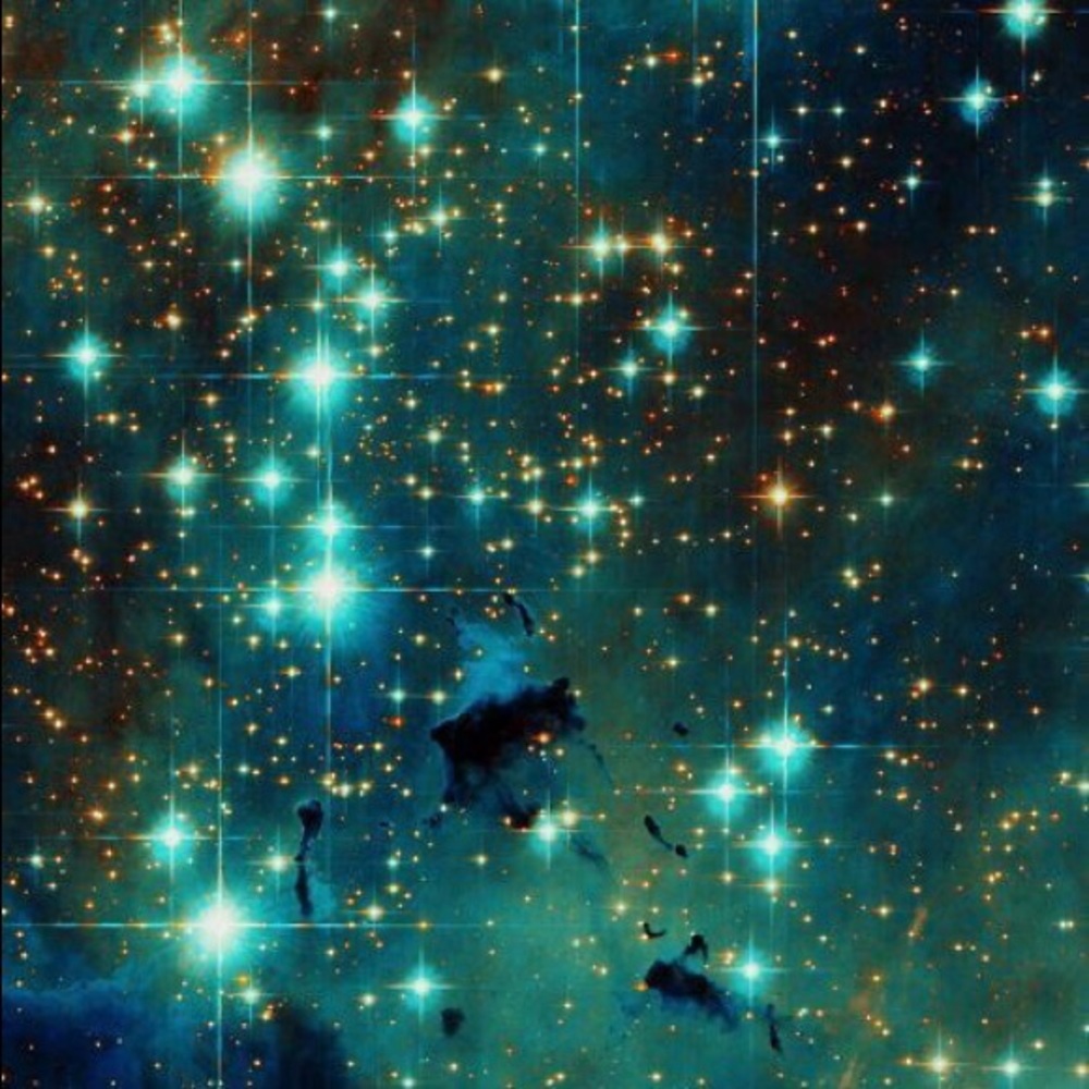 Meet your Posher, Alexa